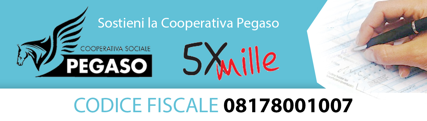 5xmille